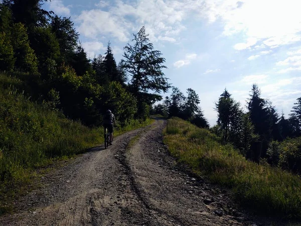 Чоловік Їде Велосипеді Дорозі Гірському Лісі — стокове фото