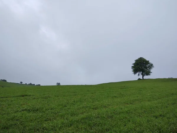 Schöne Landschaft Mit Grünem Feld — Stockfoto