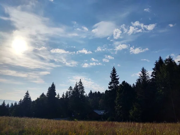 Bellissimo Paesaggio Montano Con Foresta — Foto Stock