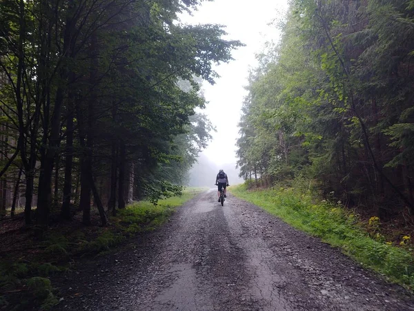 Uomo Bicicletta Sul Sentiero Nella Foresta — Foto Stock
