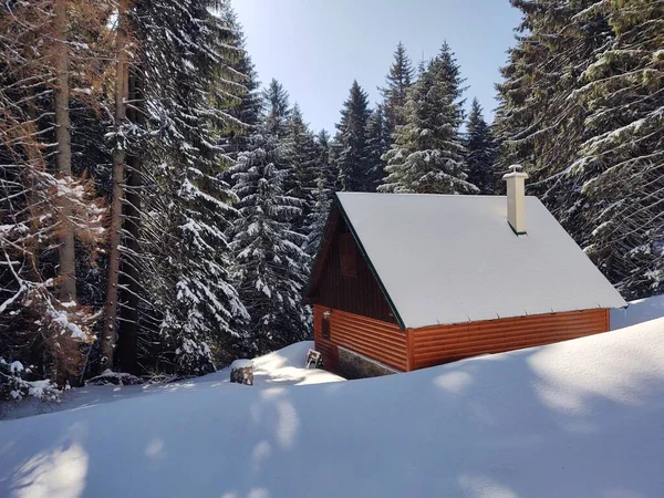 Holzhaus Winterwald — Stockfoto