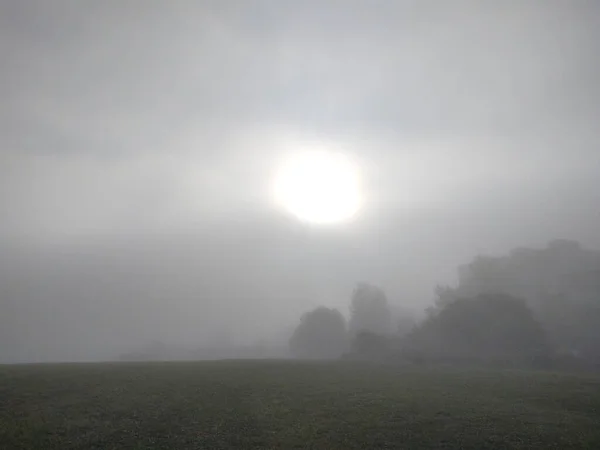 Hermoso Paisaje Niebla Con Campo — Foto de Stock