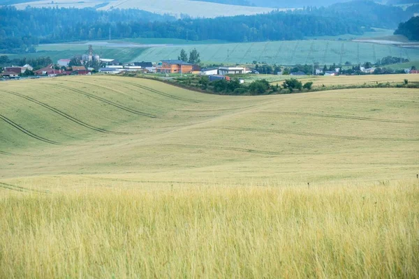 Schöne Landschaft Mit Feld Bergen Und Stadt — Stockfoto
