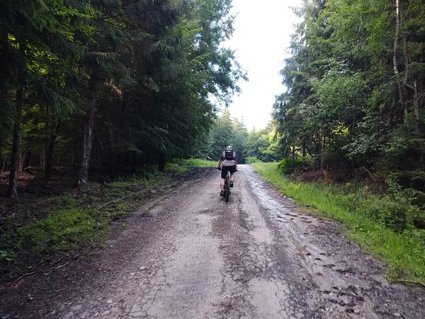 Giovane Uomo Bicicletta Nella Foresta — Foto Stock