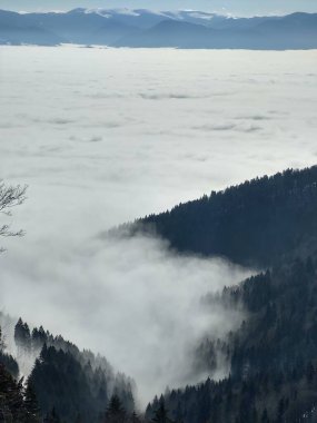 Ormanlı dağlarda sisli bir sabah