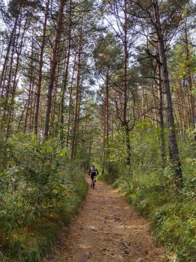 Bisikletçi ormanda bisiklet sürüyor.