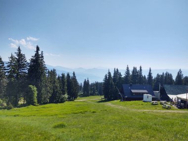 güzel dağ manzarası ile orman