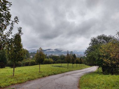 Ormanda yolu olan güzel bir manzara.