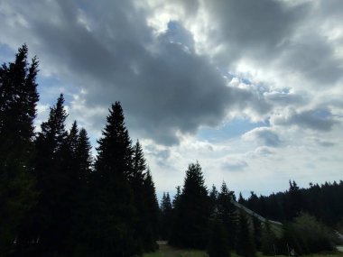 dağ orman ile güzel manzara