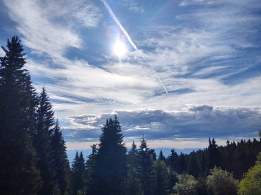 güzel dağ manzarası ile orman