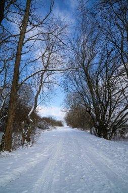 kış sezonu karlı manzara