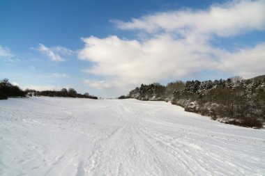 Karla kaplı ağaçlarla kaplı güzel kış manzarası 