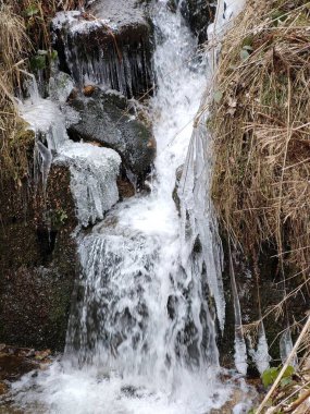 Ormanda buz saçakları olan güzel bir şelale.