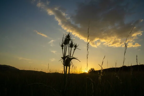 Bellissimo Tramonto Sul Campo — Foto Stock