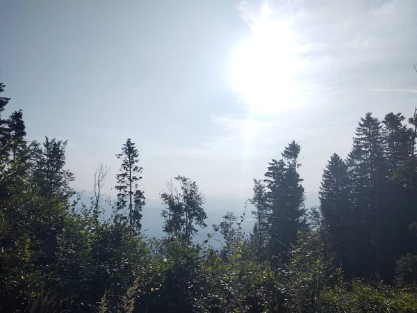 Wunderschöne Landschaft Mit Bergen Und Wald Vor Naturkulisse — Stockfoto