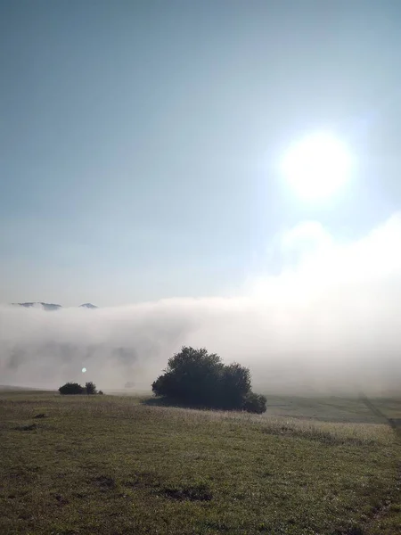 Schöne Berglandschaft Mit Nebel — Stockfoto