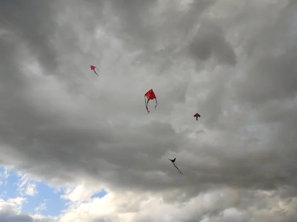 Vliegende Vliegers Bewolkte Hemel — Stockfoto