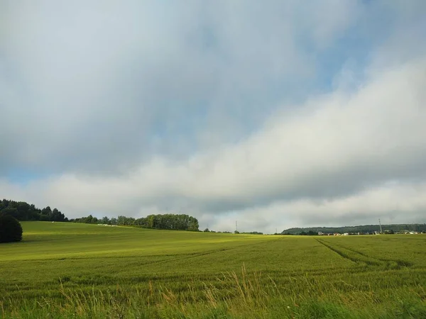 Green Field Cloudy Sky — Stock Photo, Image