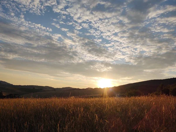 stock image beautiful nature background with sunset  and field