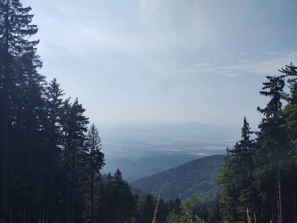 Dağları Ormanı Olan Güzel Bir Manzara — Stok fotoğraf