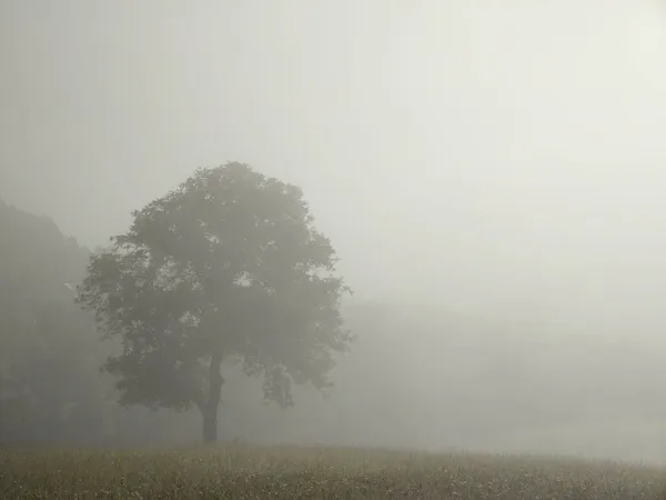 Красивий Гірський Пейзаж Туманом — стокове фото
