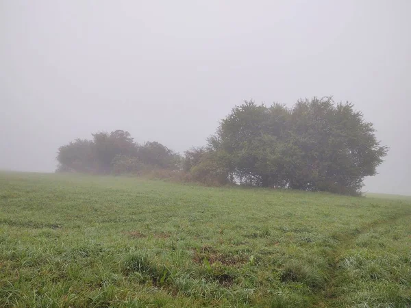 Green Field Foggy Morning — Stock Photo, Image