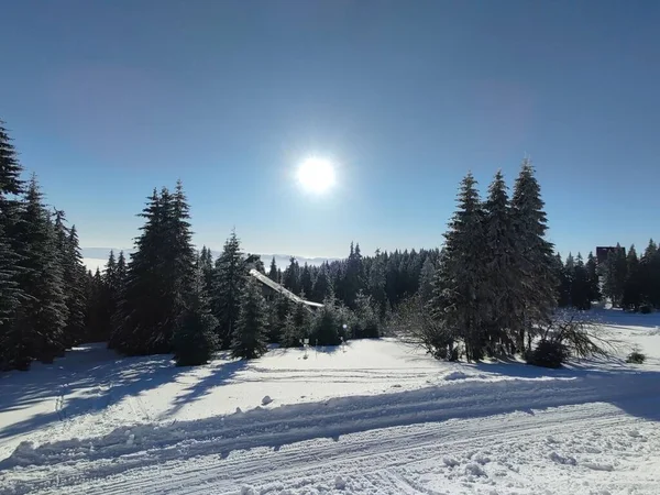 森と美しい山の冬の風景 — ストック写真