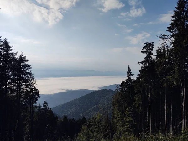 Bela Paisagem Montanhosa Com Floresta — Fotografia de Stock