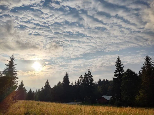 Hermoso Paisaje Montaña Con Bosque —  Fotos de Stock