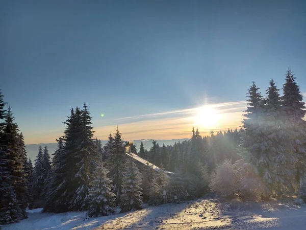 Piękny Zimowy Krajobraz Lasem Górach Zachodzie Słońca — Zdjęcie stockowe