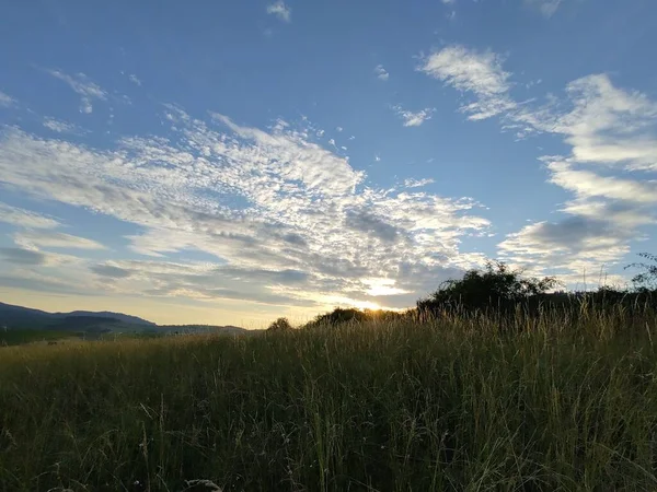 Beautiful Nature Background Sunset Field — Stock Photo, Image