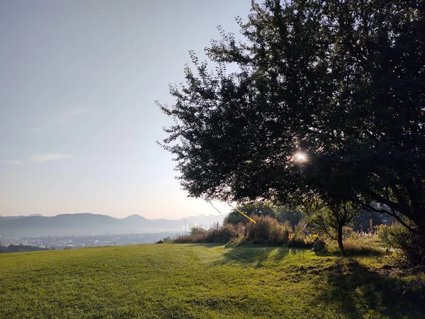 Bela Paisagem Com Campo Montanhas — Fotografia de Stock