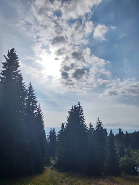 Wunderschöne Landschaft Mit Bergwald Vor Naturkulisse — Stockfoto