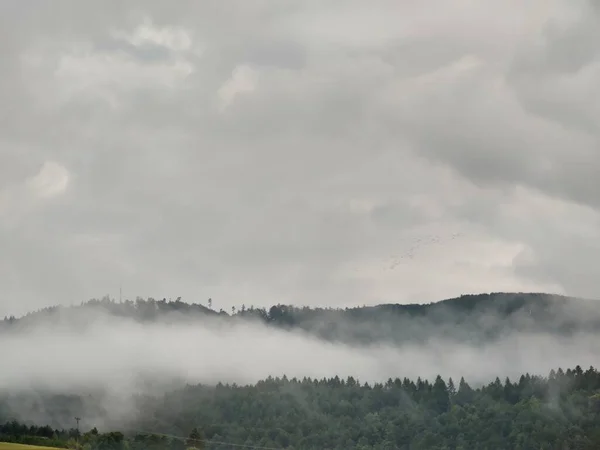 Bela Paisagem Montanhosa Com Nevoeiro Sobre Floresta — Fotografia de Stock