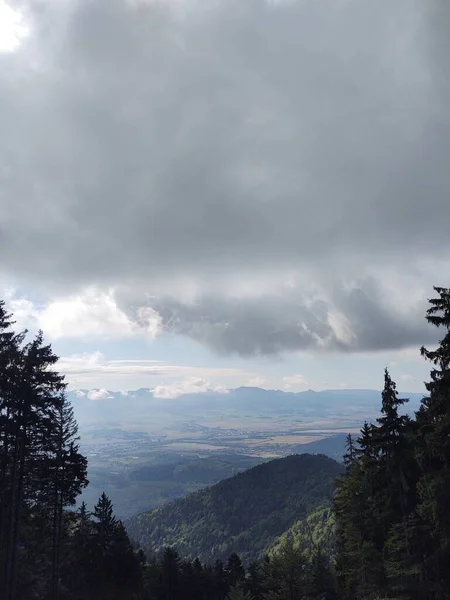 Prachtig Landschap Met Een Bos Bergen — Stockfoto