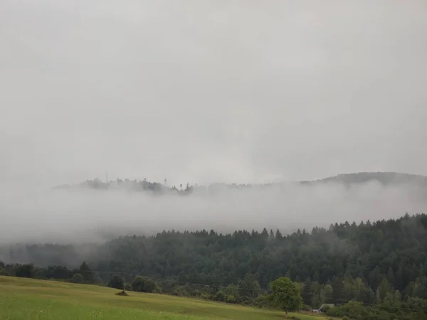 Bela Paisagem Montanhosa Com Nevoeiro Sobre Floresta — Fotografia de Stock