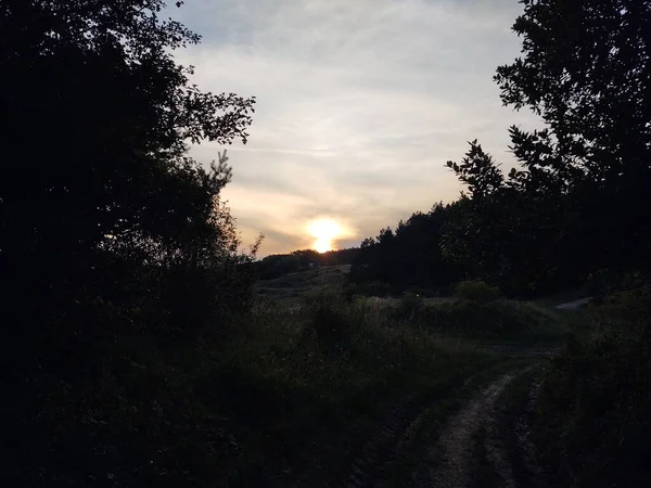 Vacker Solnedgång Skogen Natur Bakgrund — Stockfoto