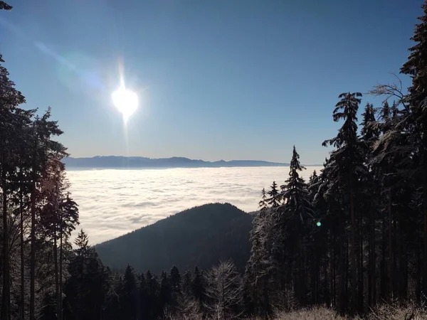Όμορφο Ορεινό Τοπίο Δάσος Χειμώνα — Φωτογραφία Αρχείου