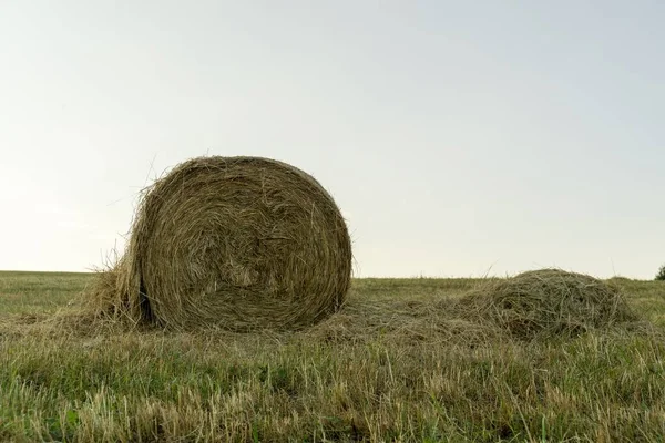 Fardos Heno Campo Durante Día — Foto de Stock