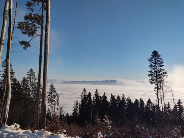 Όμορφο Χειμερινό Τοπίο Στα Βουνά Σύννεφα — Φωτογραφία Αρχείου