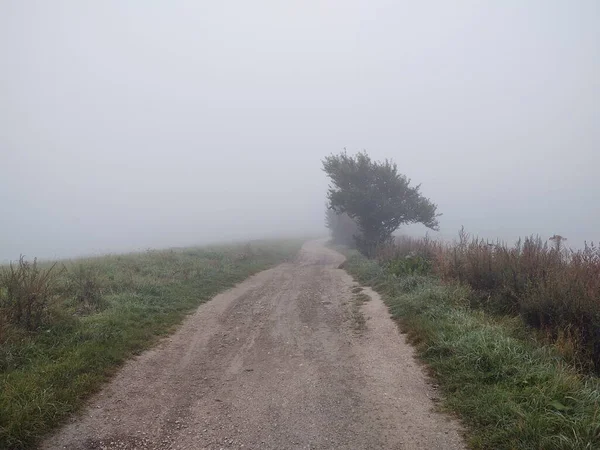 Väg Landet Vid Dimmig Morgon — Stockfoto