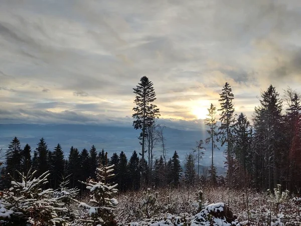 Bela Paisagem Montanhosa Com Floresta Inverno — Fotografia de Stock