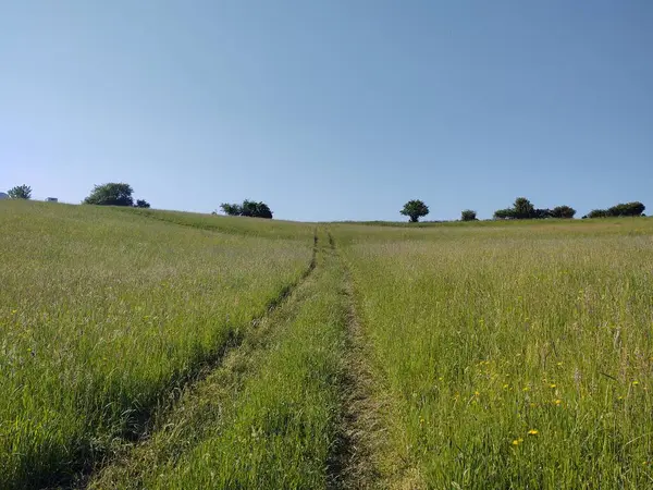 Krásná Horská Krajina Slunečného Dne — Stock fotografie