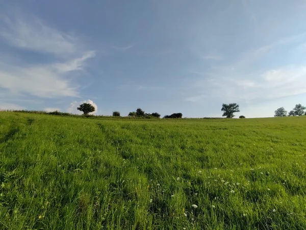 Vackert Landskap Med Grönt Fält — Stockfoto