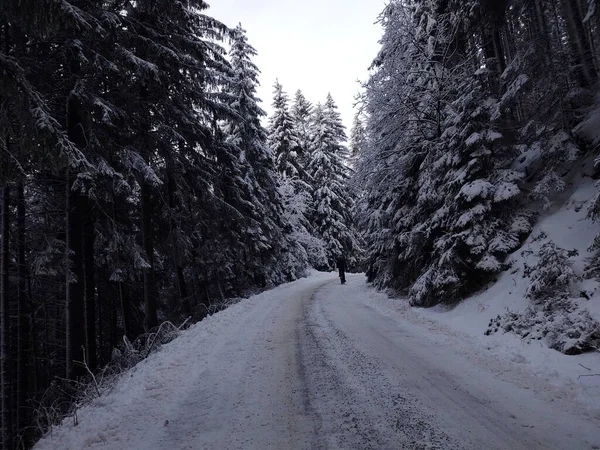 Hombre Caminando Por Carretera Bosque Nevado Invierno — Foto de Stock