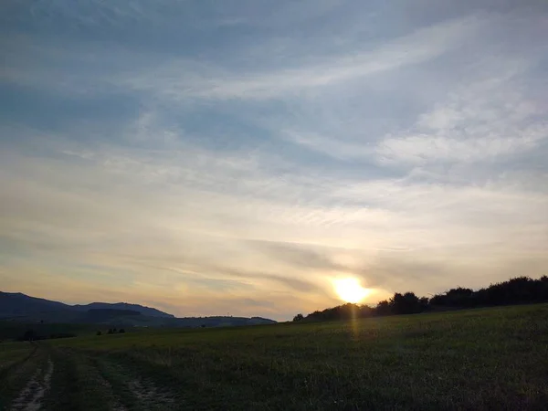 Krásný Západ Slunce Lese Přírodním Pozadí — Stock fotografie