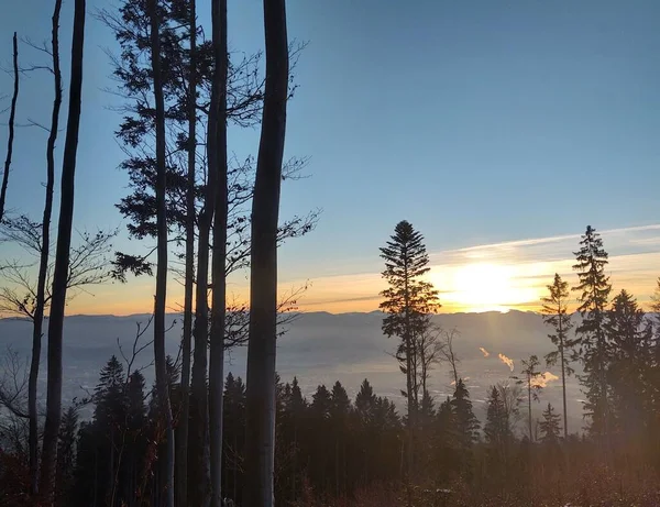 Красивый Зимний Пейзаж Лесом Горах Закате — стоковое фото