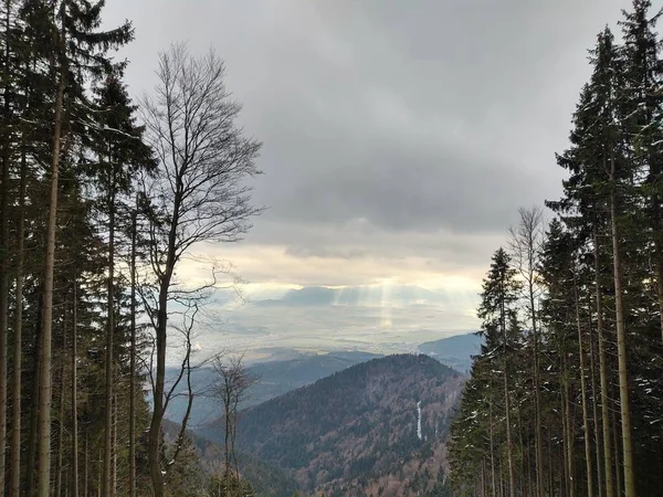 Güzel Dağ Manzarası Ile Orman — Stok fotoğraf