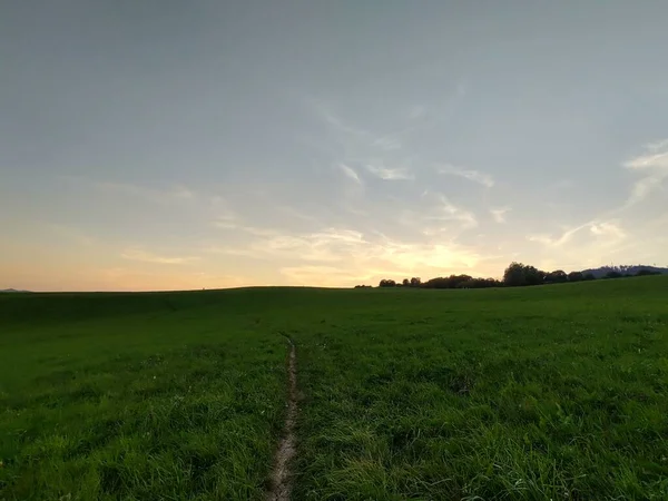 Гірське Поле Під Час Заходу Сонця — стокове фото