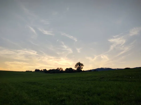 Bergfeld Bei Sonnenuntergang — Stockfoto